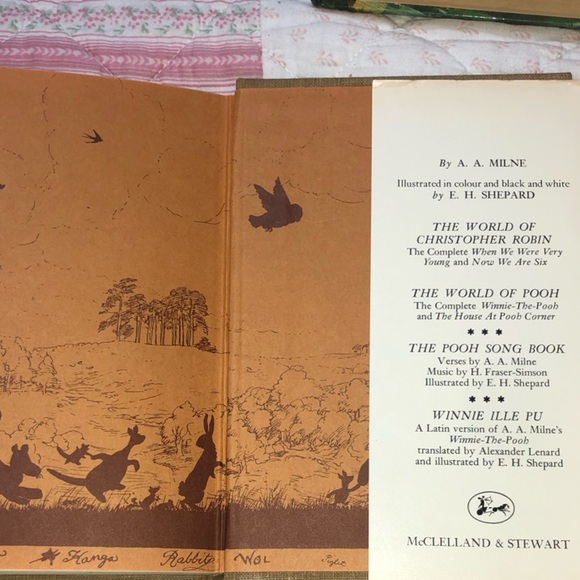THE HOUSE AT POOH CORNER, A. A. MILNE, -1976- children’s classic book- good shap - Picture 10 of 10